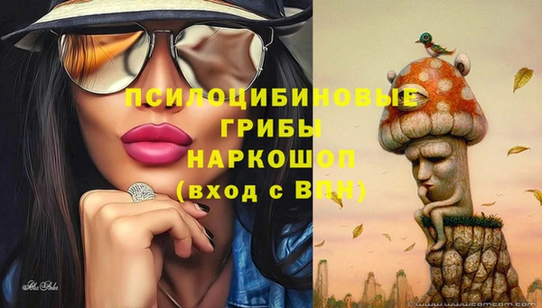 меф Бородино